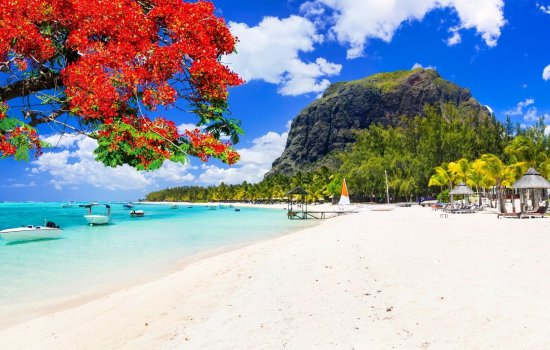 white sand beaches with volcanic rock in Mauritius